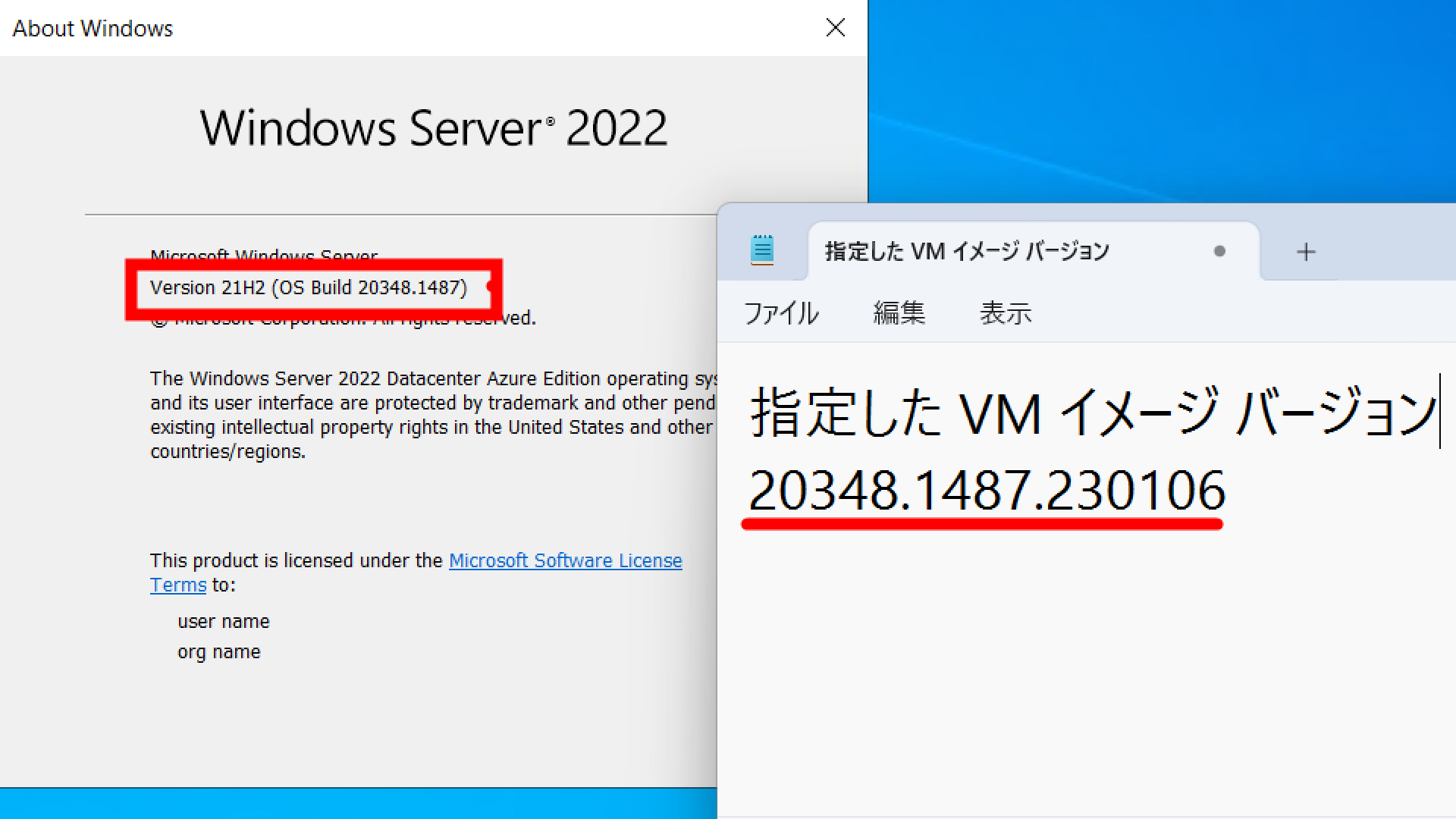 vm01