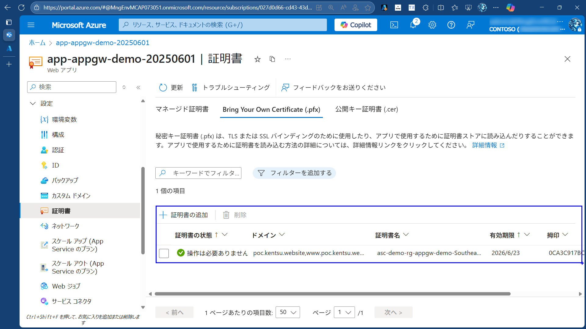 custom_domain_setup